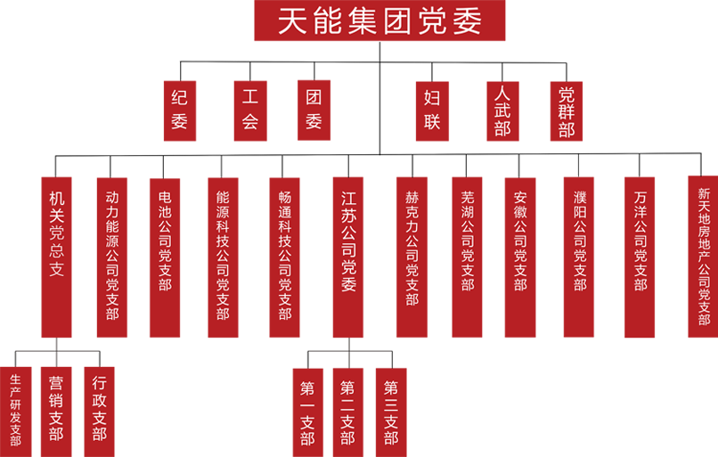 天能建团党委构造架构